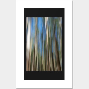 blurred trees Posters and Art